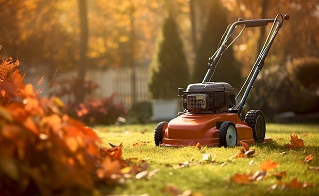 Lawn Mowers